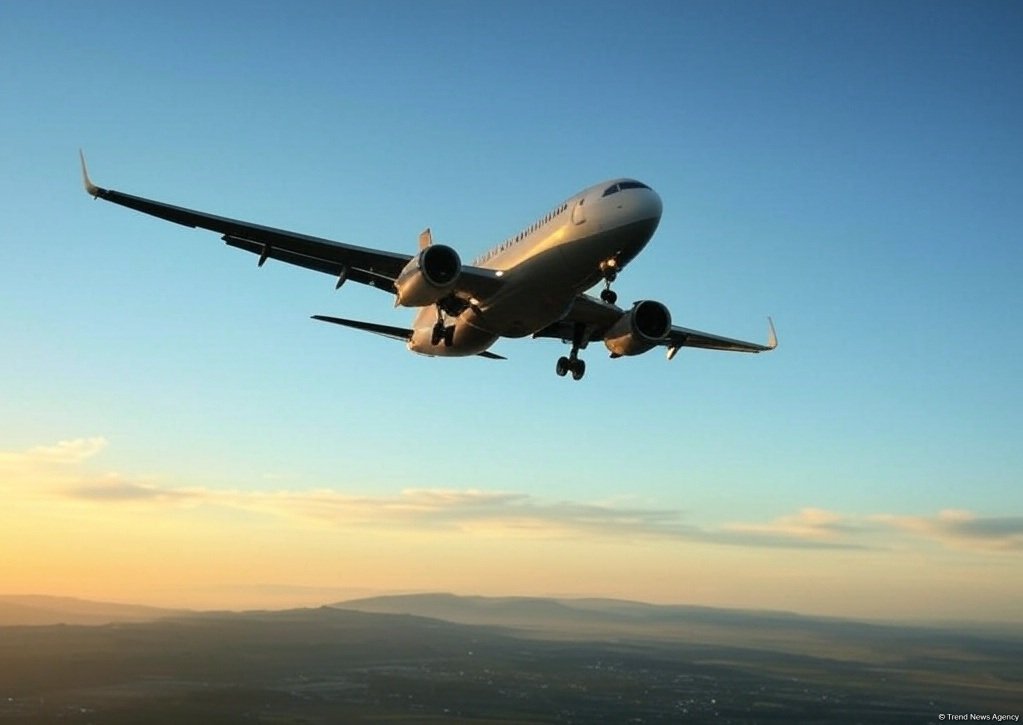 "Airbus" ABŞ-dakı kosmik bölməsini satmağı nəzərdən keçirir